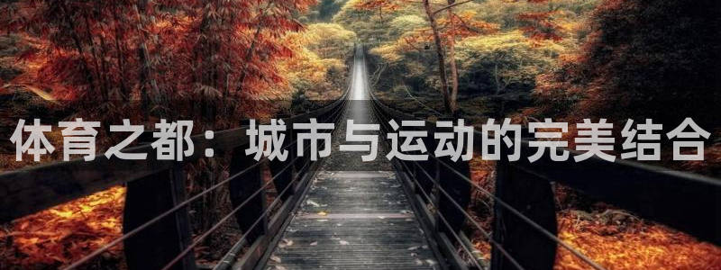 yy易游官方正版app集团官网首页网址:体育之都:城市与运动